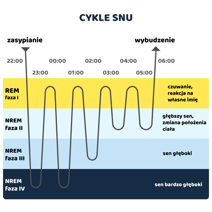 Infografika - cykle snu dziecka