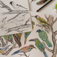 Otulacz do fotelika Velvet - Ornithology | Makaszka